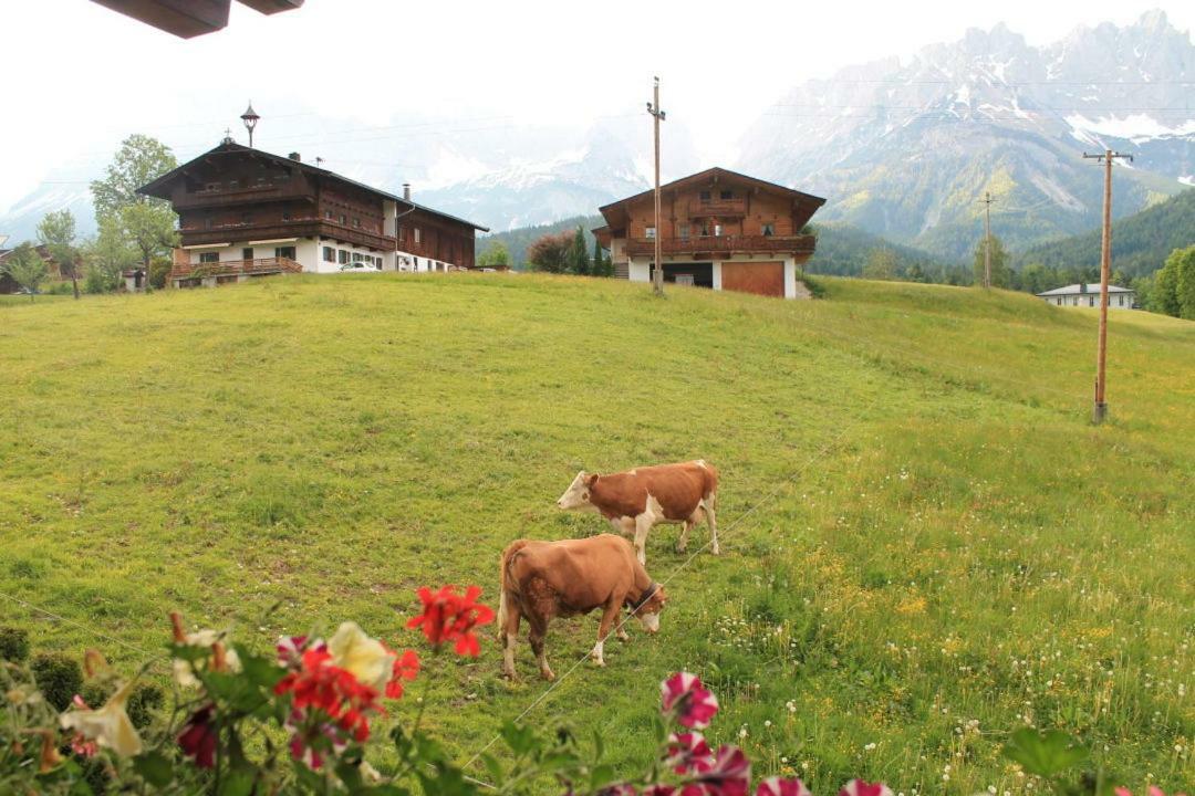 Pension Sunnberg Going am Wilden Kaiser Екстер'єр фото